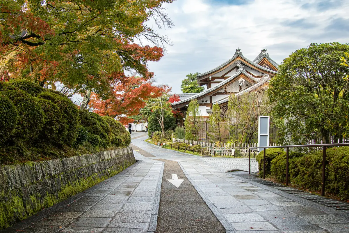 A paved path under autumn maples leading to a temple roof