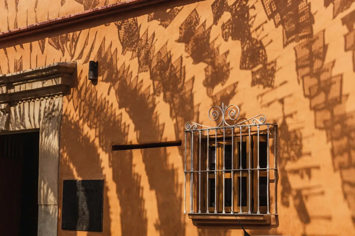 An ochre wall with a barred window and the shadow of a tree