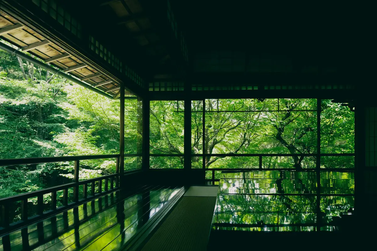A dark timber room opening onto trees and water through a wall of glass