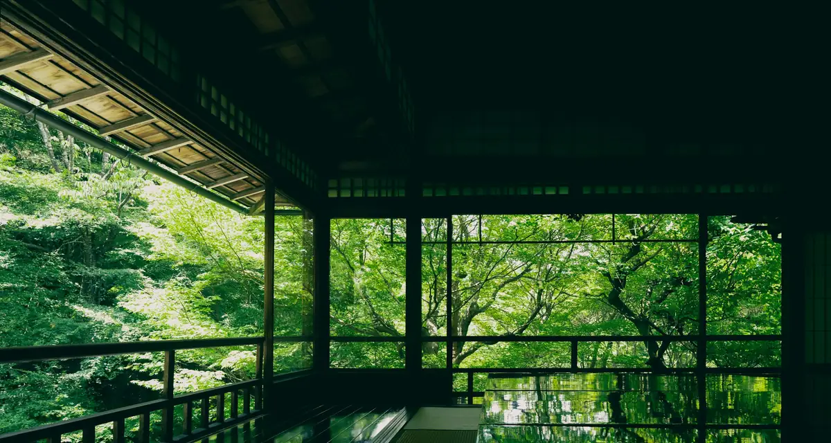A dark timber room opening onto trees and water through a wall of glass