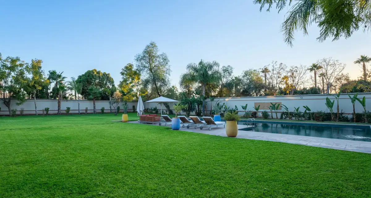 A lawn and a walled pool with loungers under palm trees
