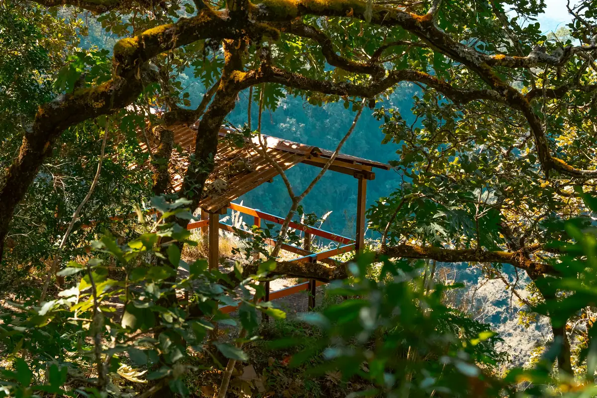 A timber shelter glimpsed through overhanging branches above the water